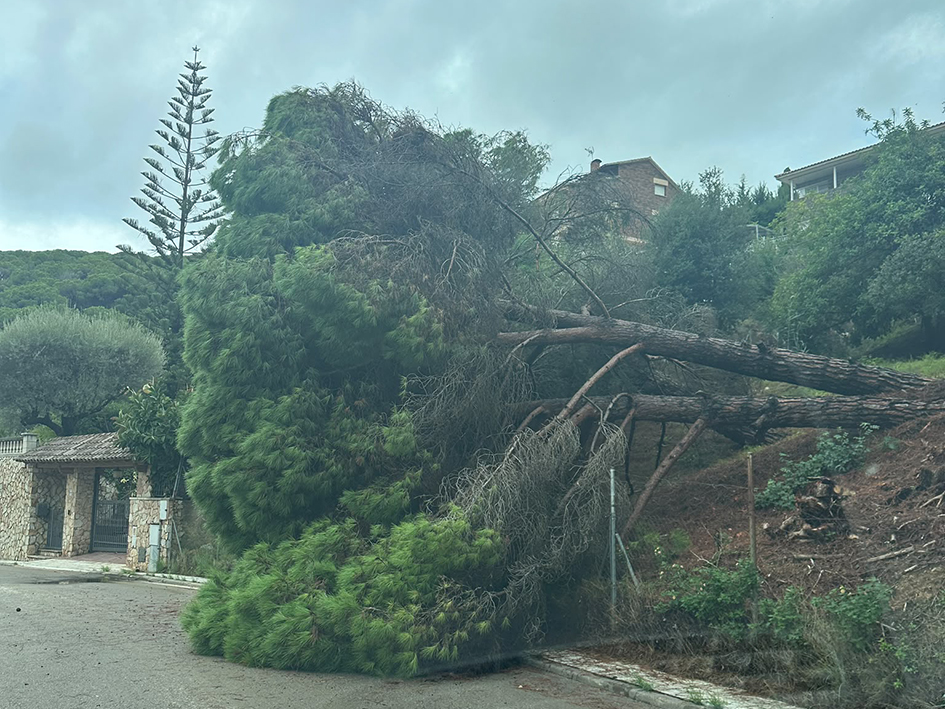 Efectes de la pluja a Cabrils