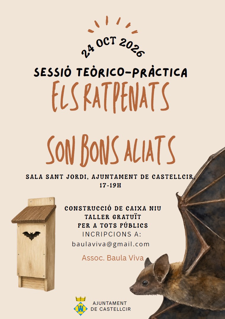 Cartell de la sessió sobre els ratpenats a Castellcir