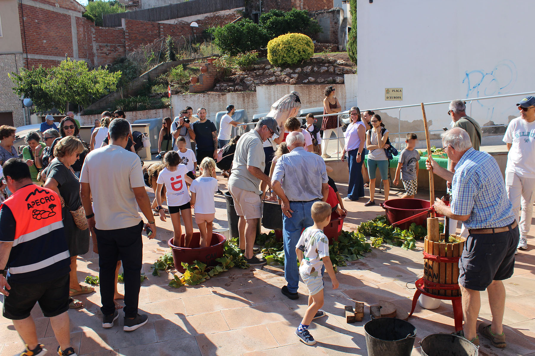 Trepitjada de raïm de la Festa de Sant Miquel de Castellví de Rosanes