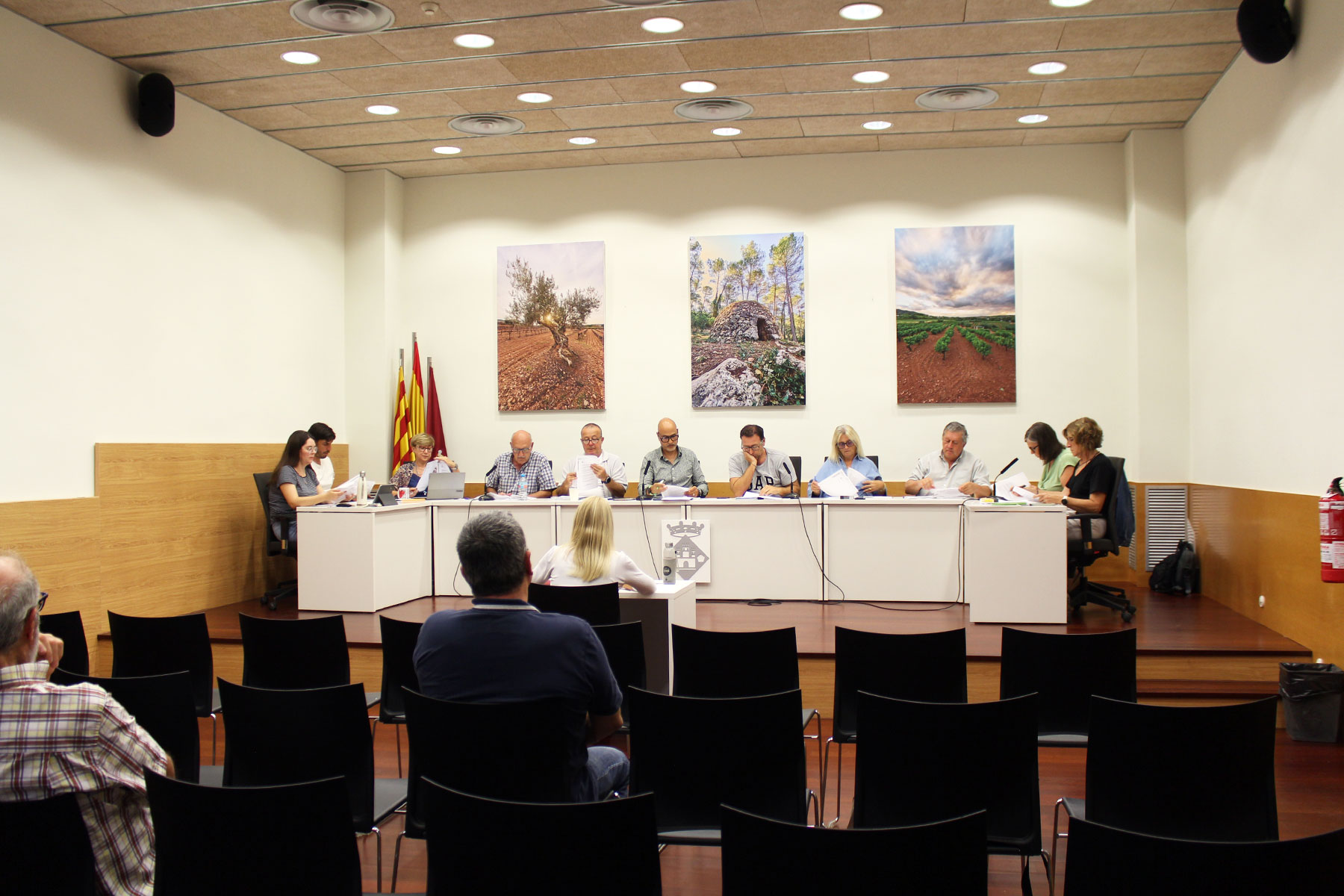 Sessió del ple municipal ordinari de Castellví de Rosanes