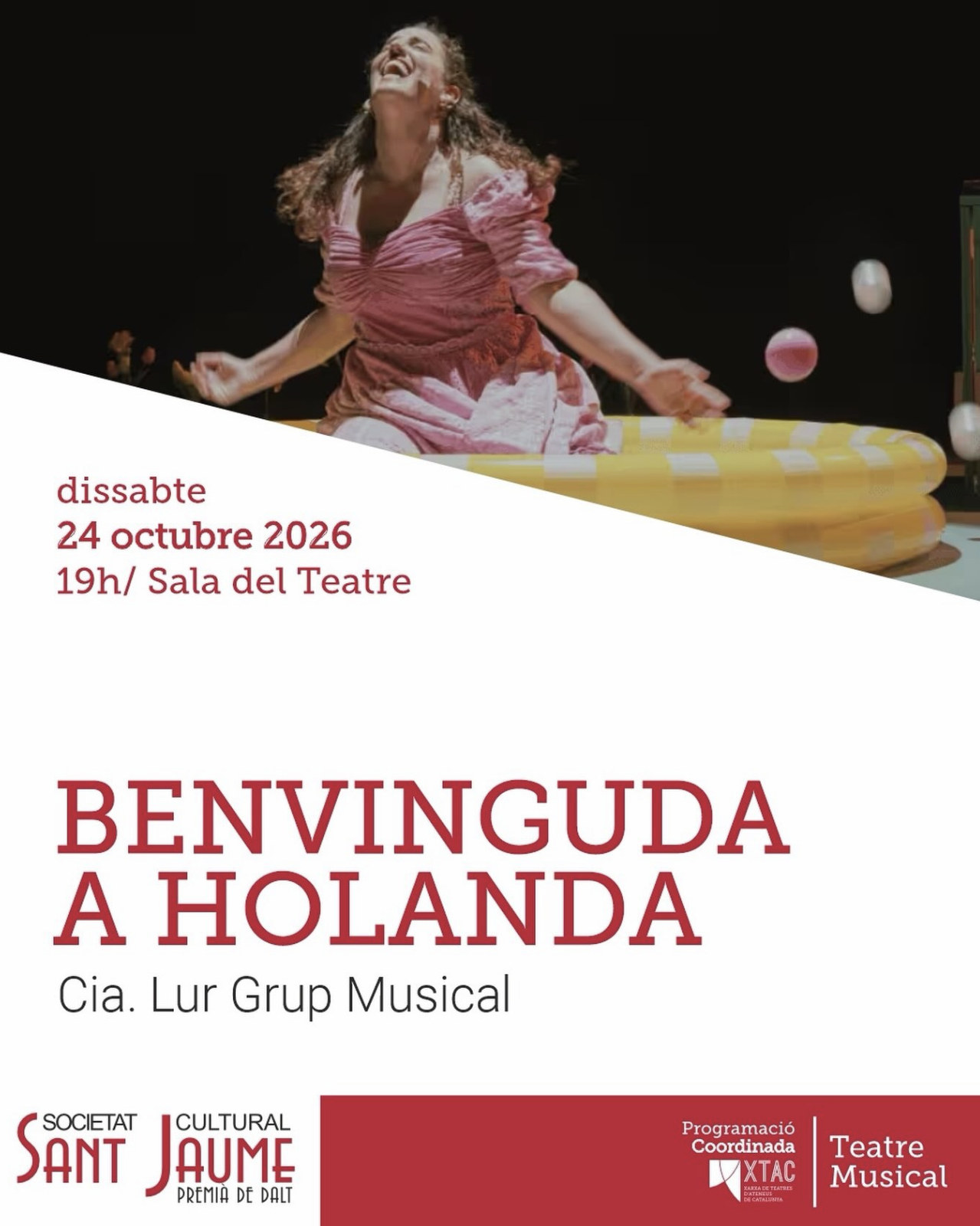 Imatge del musical Benvinguda a Holanda