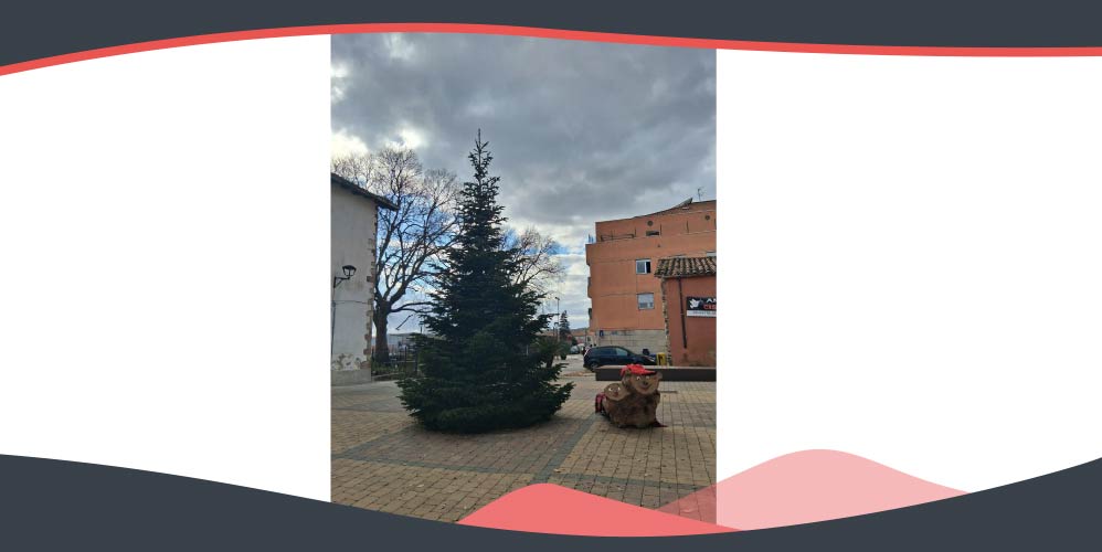 Imatge decorativa de l'arbre de Nadal de la plaça de Sant Esteve de Palautordera