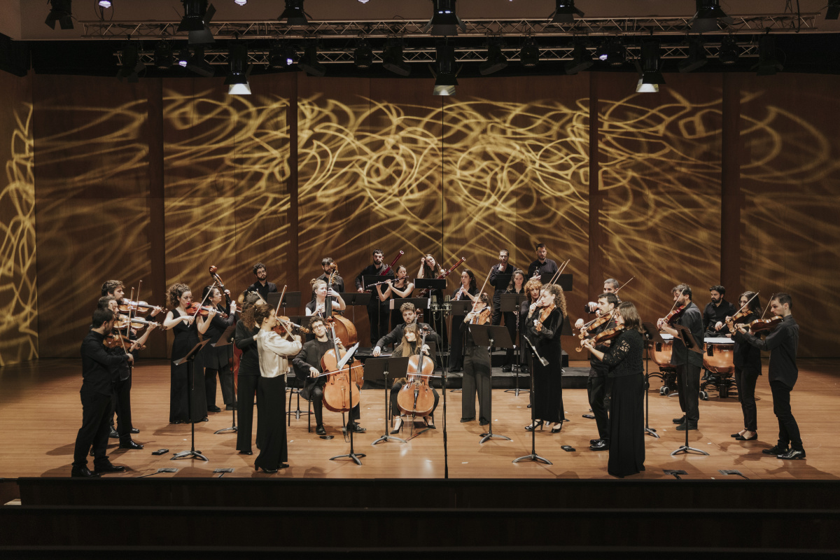 Imatge de La Camerata per al concert Somni d'una nit d'estiu
